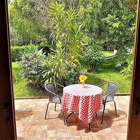ビージャ・デ・レイバ Hacienda El Pinar Del Viento Bed & Breakfast エクステリア 写真